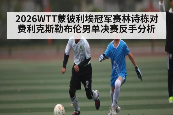 2026WTT蒙彼利埃冠军赛林诗栋对费利克斯勒布伦男单决赛反手分析